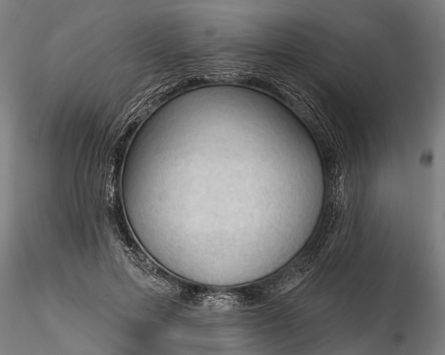 X0000116340599200912151330