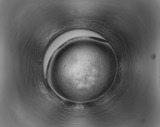 X0000116340600200912151330