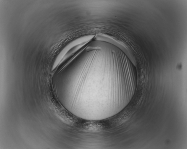 X0000116340601200912151330