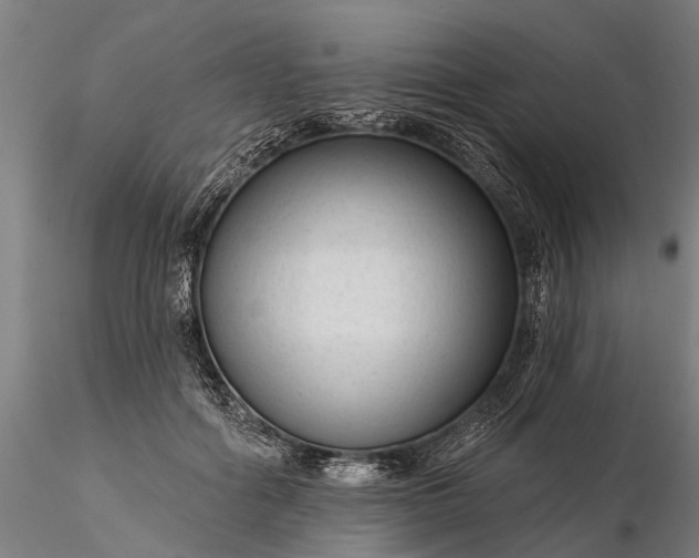 X0000116340602200912151330