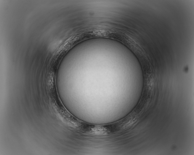 X0000116340603200912151330