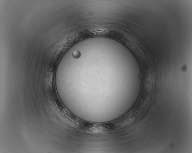 X0000116340604200912151330