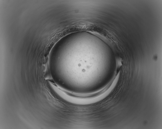 X0000116340605200912151330