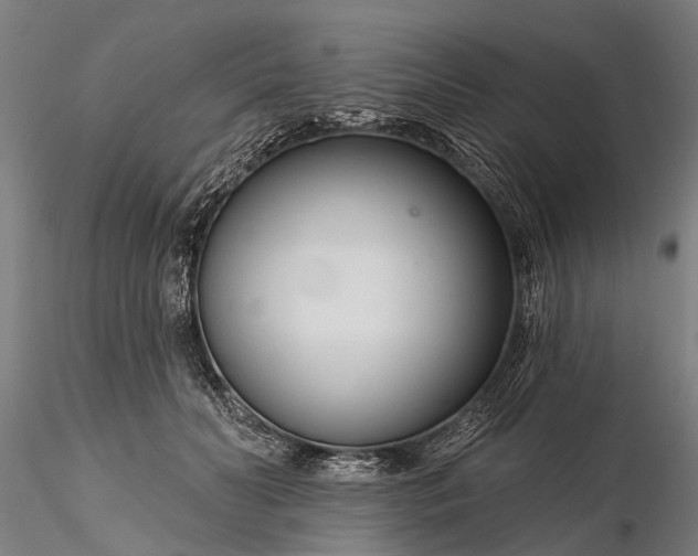 X0000116340606200912151330