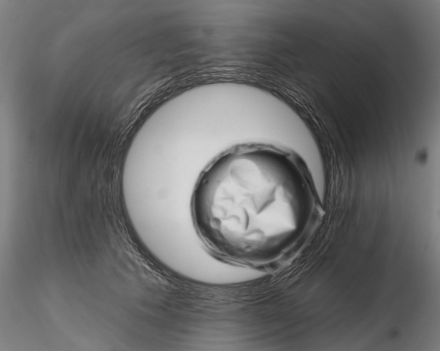 X0000116340609200912151330