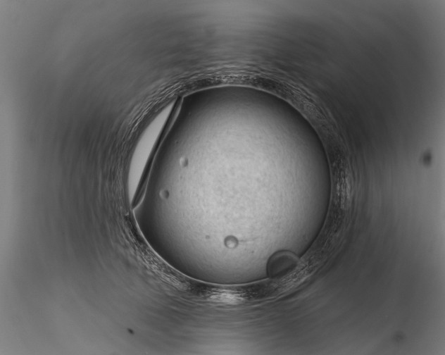 X0000116340610200912151330