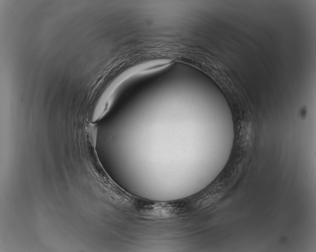 X0000116340612200912151330