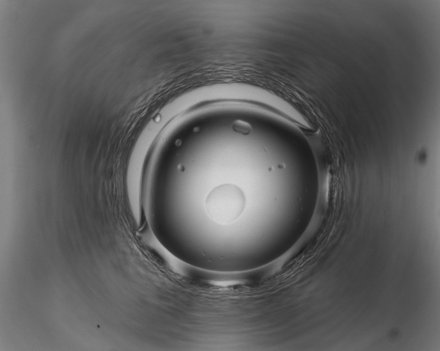 X0000116340613200912151330