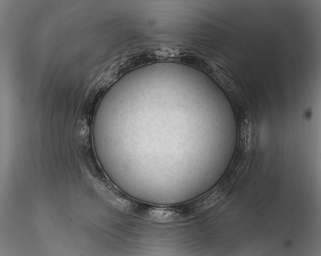 X0000116340614200912151330