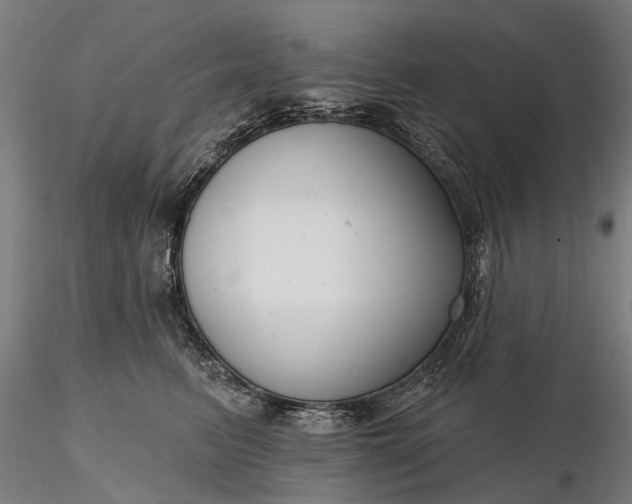 X0000116340615200912151330