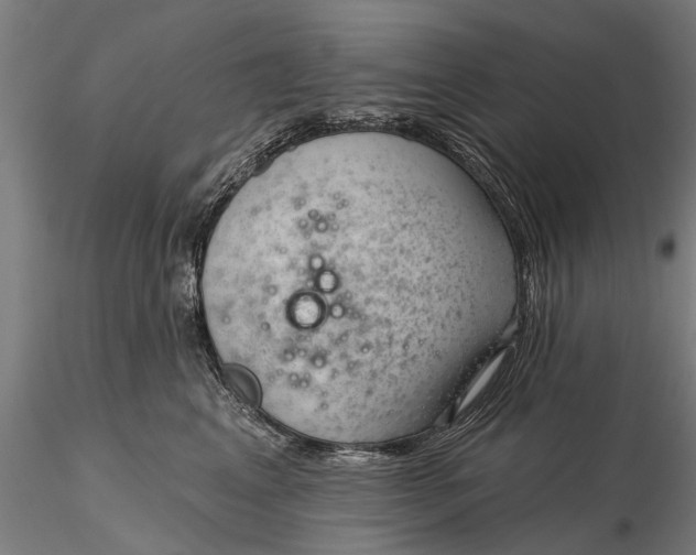 X0000116340617200912151330