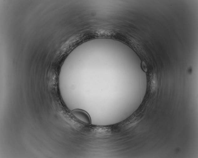 X0000116340619200912151329