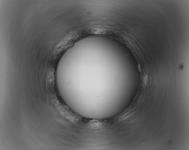 X0000116340620200912151329