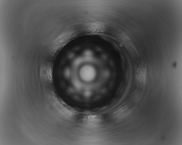 X0000116340622200912151329