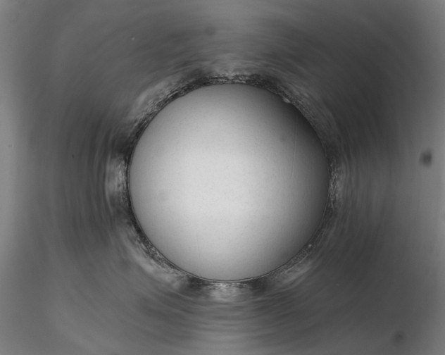 X0000116340623200912151329