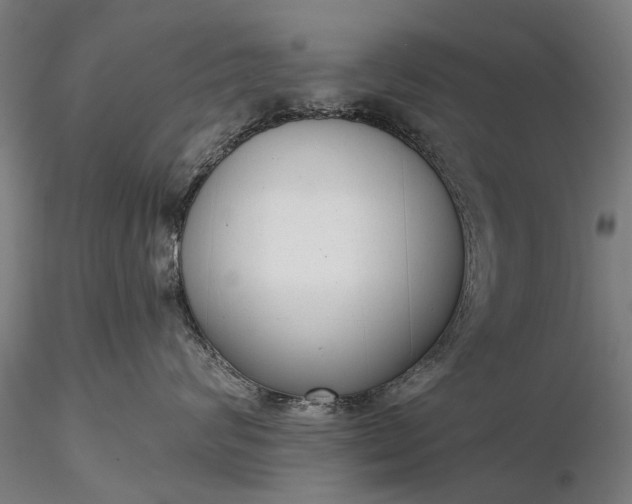 X0000116340624200912151329