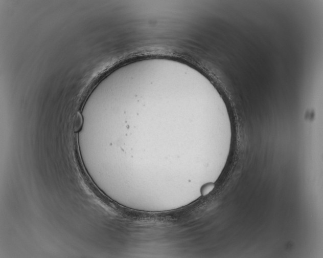 X0000116340625200912151329