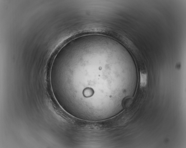 X0000116340627200912151329