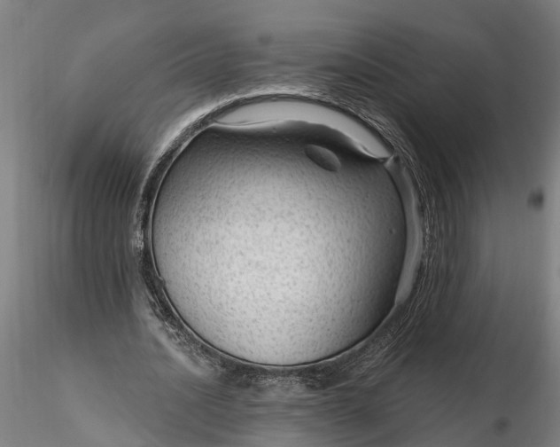 X0000116340628200912151329