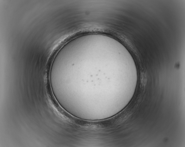 X0000116340629200912151329