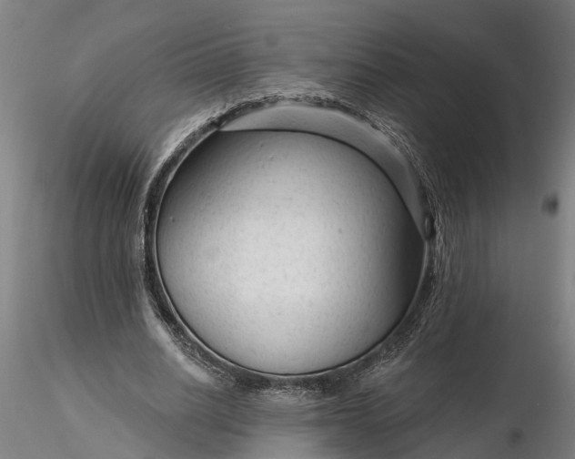 X0000116340630200912151329