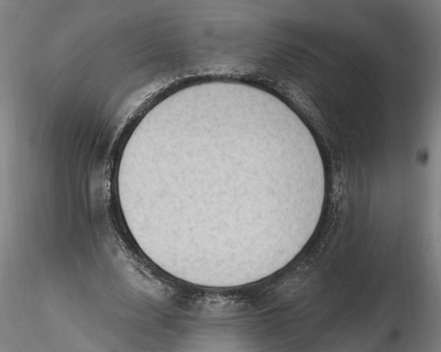 X0000116340632200912151329