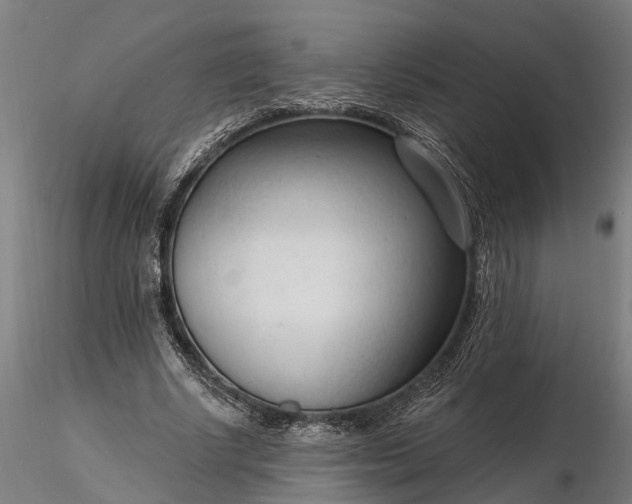 X0000116340634200912151329