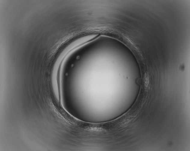 X0000116340637200912151329