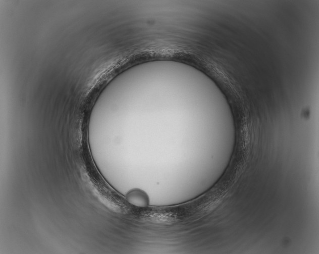 X0000116340638200912151329