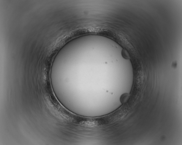 X0000116340639200912151329