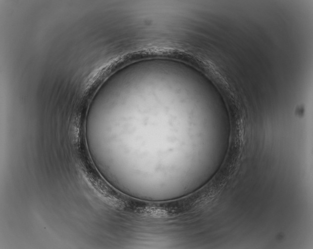 X0000116340640200912151329