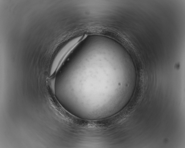 X0000116340641200912151329