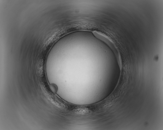 X0000116340642200912151329