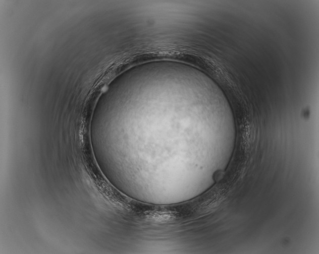 X0000116340643200912151329