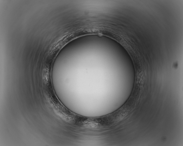 X0000116340648200912151329