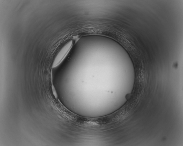 X0000116340649200912151329