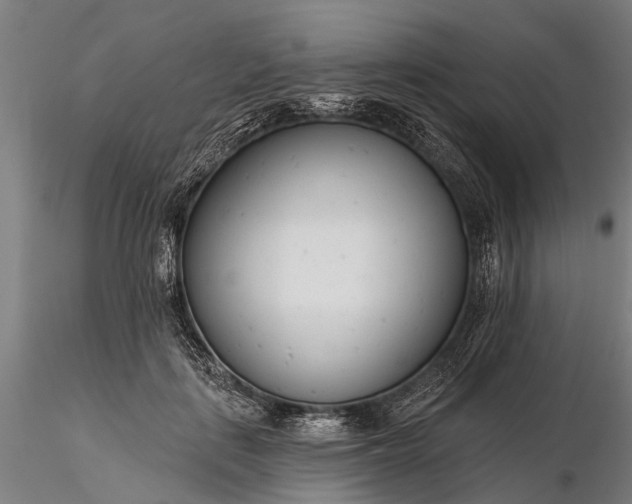 X0000116340651200912151329