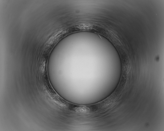 X0000116340652200912151329