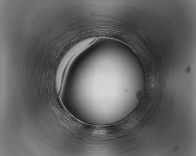 X0000116340653200912151329