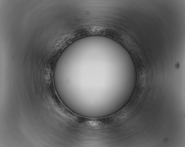 X0000116340654200912151329