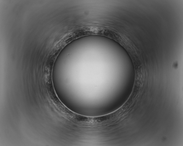 X0000116340656200912151329