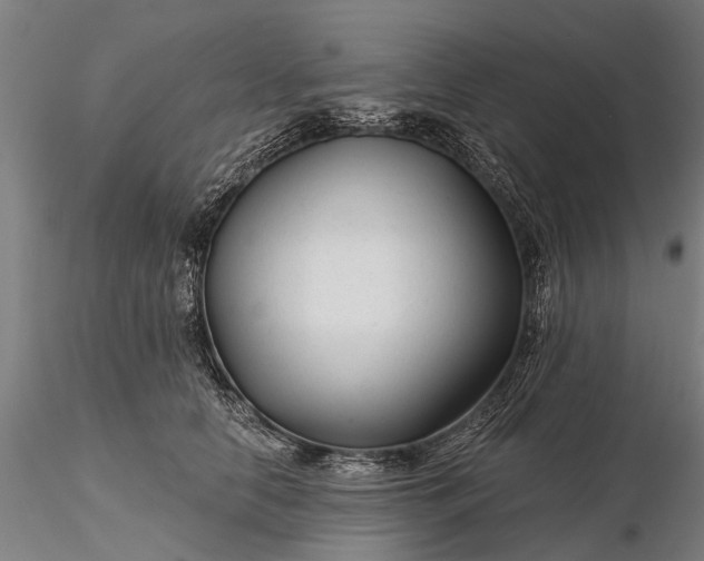 X0000116340658200912151329