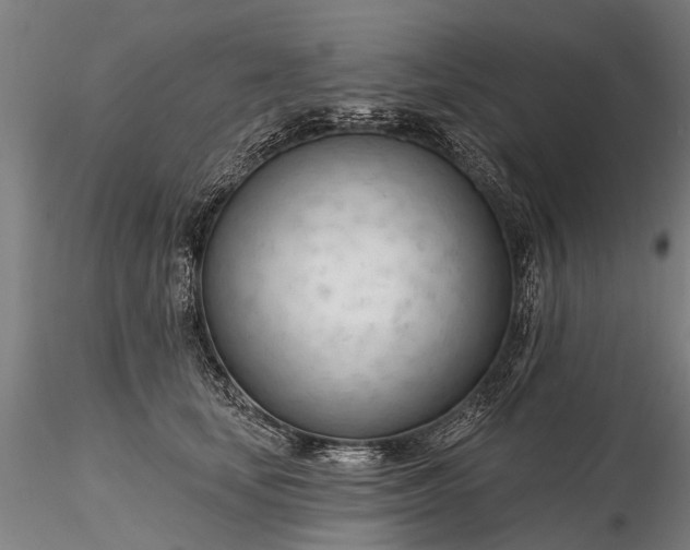 X0000116340659200912151329