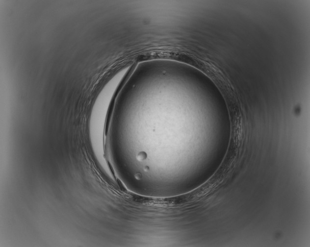 X0000116340661200912151329