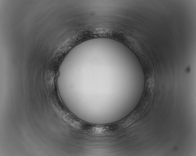 X0000116340662200912151329