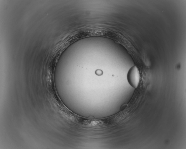 X0000116340663200912151329