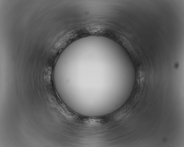 X0000116340664200912151329