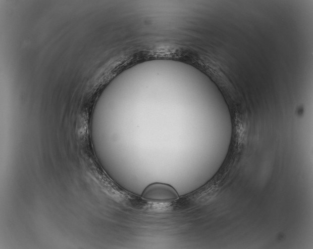 X0000116340665200912151329