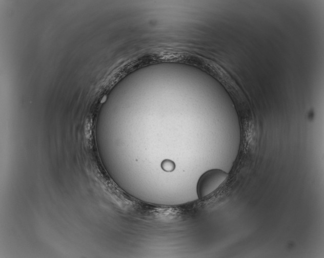 X0000116340667200912151329