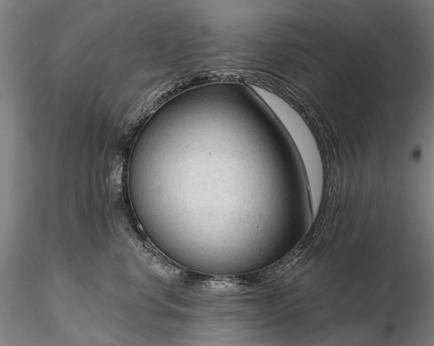 X0000116340668200912151329